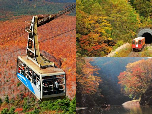 日韓追楓指南！鐵路、纜車、遊船、泡湯一次滿足