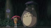 My Neighbor Totoro Cosplay Disturbingly Life-Life Totoro