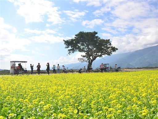 國旅補助納台東引爭議 周永暉：花東是生命共同體