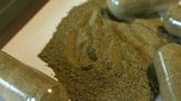 Haney introduces proposal to regulate herbal product kratom amid safety concerns