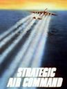 Strategic Air Command