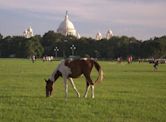 Maidan (Kolkata)