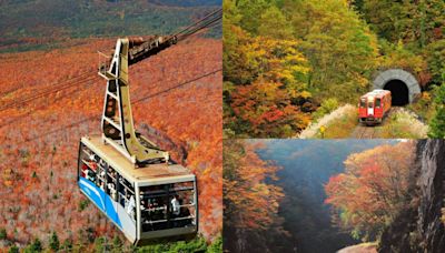 日韓追楓指南！鐵路、纜車、遊船、泡湯一次滿足