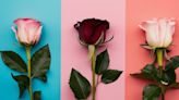 Descubre si eres una persona sumisa con solo elegir una de las rosas en la imagen