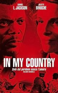 In My Country (2004 film)