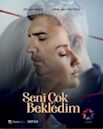 Seni Çok Bekledim