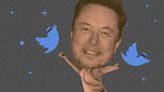 Elon Musk Confirms He Used Burner Account On X To Role-Play As Toddler Son