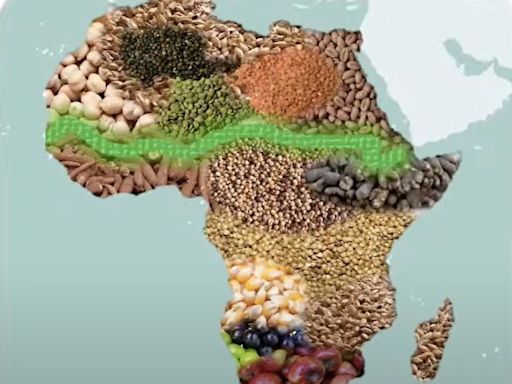 Suelos Vivos: la inédita alianza para armar un "granero africano" con ayuda americana
