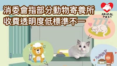 消委會指動物寄養所收費透明度低 調查指計算狗隻重量收費標準不一