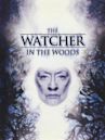 The Watcher in the Woods (1980 film)