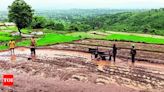 Ghat Area Farmers Speed Up Paddy Cultivation with Unique Plantation Method | Kolhapur News - Times of India