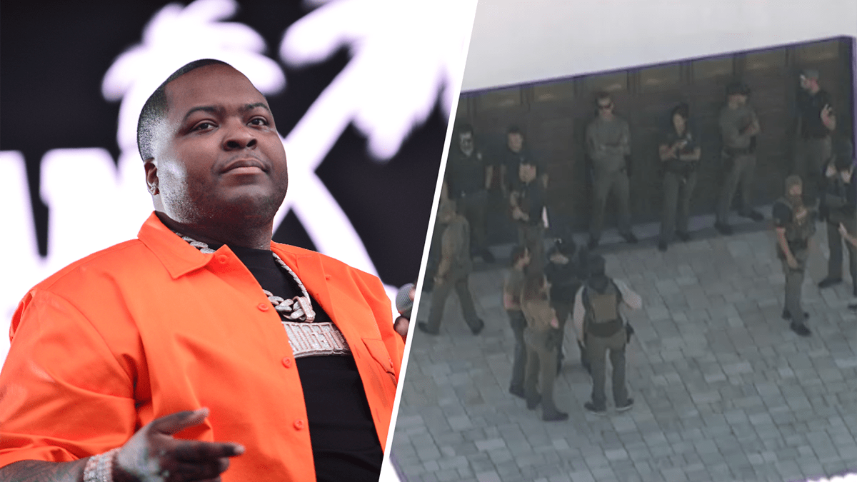 Singer Sean Kingston's mom in custody after raid of South Florida mansion