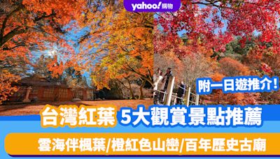 台灣紅葉2024｜全台5大賞楓景點推薦！雲海伴楓葉/橙紅色山巒/百年歷史古廟