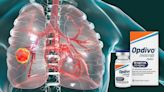 Perioperative Nivolumab Boosts EFS in Resectable Lung Cancer