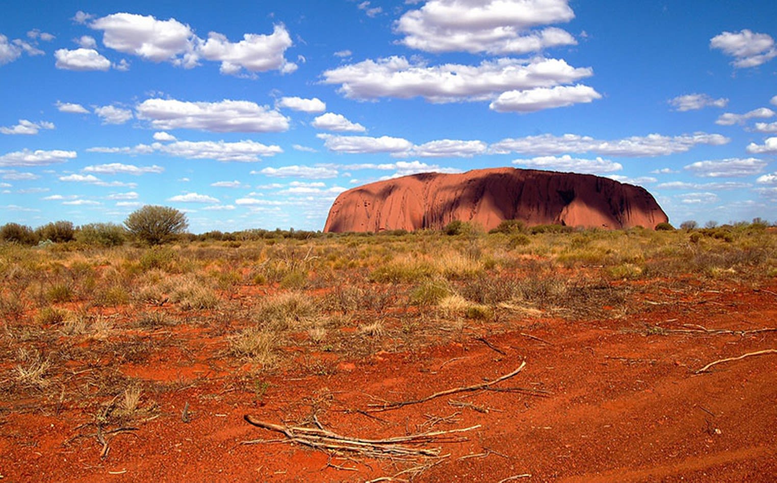 Nature's Canvas: Connecting Artistic Landscapes between Denver and Australia