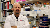Acute myeloid leukemia discovery tackles drug-resi | Newswise