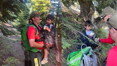 Missing 4-year-old Southern California boy rescued after spending night in wilderness