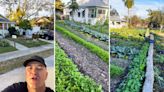 Homeowner makes incredible salary by growing thousands of dollars of food in their ‘victory garden’: ‘This is super inspiring’