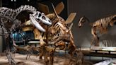 Colorado’s 10 best dinosaur destinations, from museums to track sites and quarries