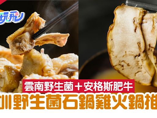 深圳美食｜網紅毒菇「見手青」滑嫩多汁 必點野生菌石鍋雞火鍋