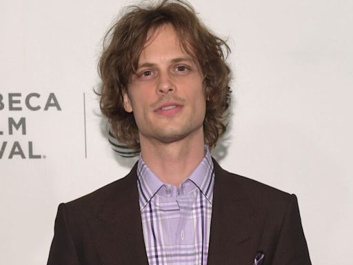 'Criminal Minds' Star Matthew Gray Gubler to Play Titular 'Einstein' in CBS Procedural