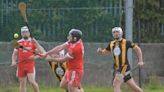 Knockbridge and St Fechin’s to meet in intriguing Louth SHC clash