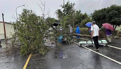 彰化郵差慘遭「路樹砸死」 母親節出殯同事列隊送最後一程