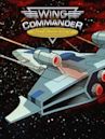 Wing Commander Academy