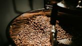 Kopi Luwak : le café le plus cher du monde est fabriqué à partir d'excréments
