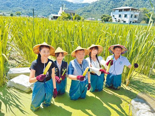 茭點女神暖身 許淑華下田推廣美人腿