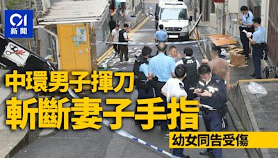 中環男子揮菜刀斬妻 妻子遭斬斷手指 幼女護母捱斬受傷