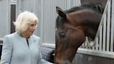 Queen feeds mint to retired racehorse on visit to British Racing School