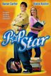 Popstar – Aller Aufstieg ist schwer...