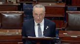 Top Democrat Schumer calls for new elections in Israel, saying Netanyahu is an obstacle to peace