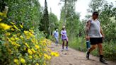 How many visitors do the Wasatch canyons get? Almost double that of Arches