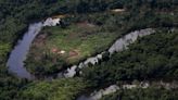 Governo prepara força-tarefa para expulsar garimpeiros de terras yanomami, dizem autoridades