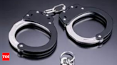 'Robber grandpas': Elderly trio charged with burglary in Japan - Times of India