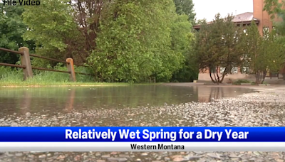 Relatively wet spring despite dry year in western Montana