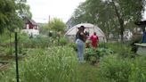 'We Got This Garden' in Milwaukee; teaching kids patience, persistence