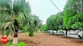 Punjab Agricultural University to Plant Over 1,000 Trees for Campus Beautification | Ludhiana News - Times of India