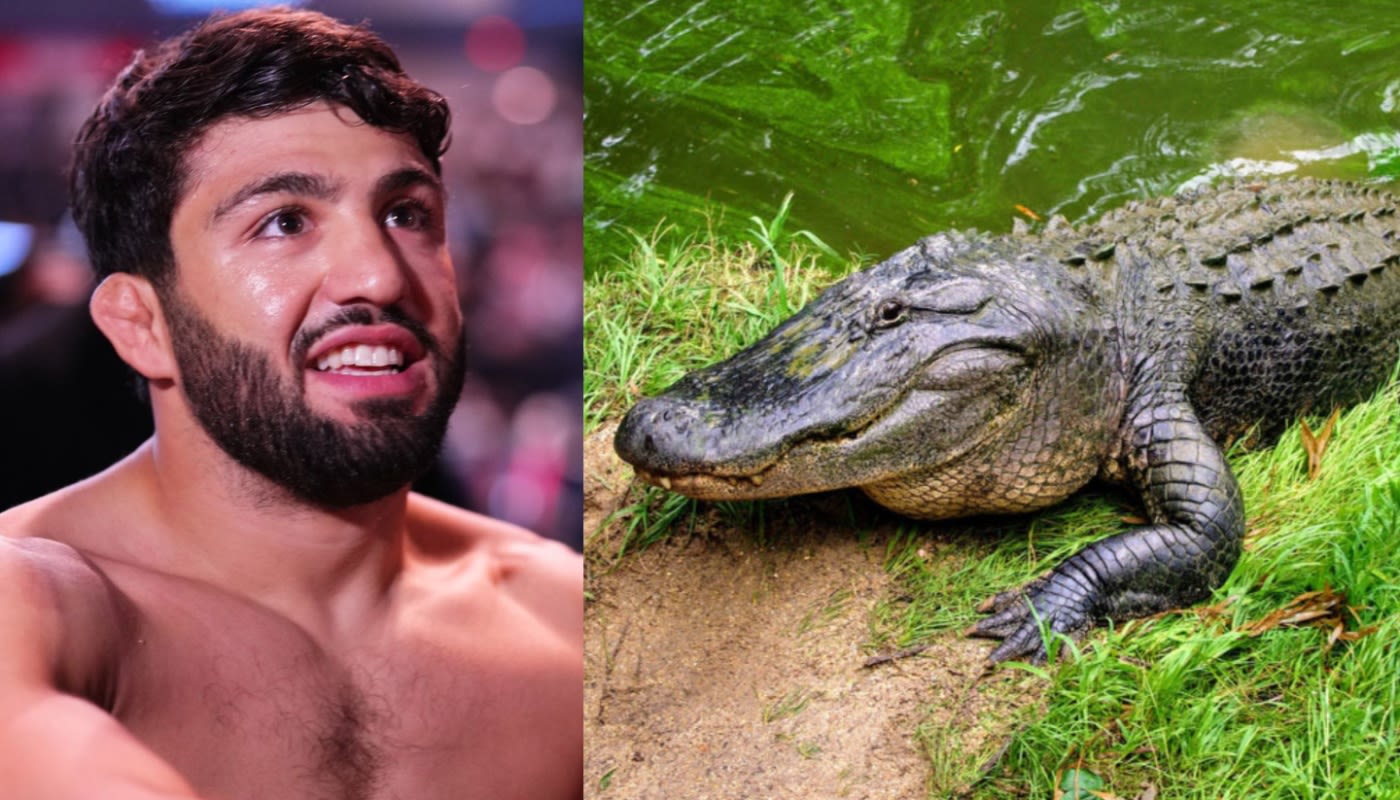 Arman Tsarukyan rear-naked choke'd an alligator during recent south Florida fishing trip, plans to turn it into boots | BJPenn.com