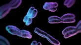 Scientists Are Cracking Ancient Chromosomal Complications