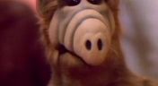 12. ALF's Special Christmas