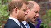 Harry calls William ‘arch nemesis’ and claims prince physically attacked him