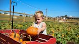 Still need a Halloween pumpkin? Here are 6 Augusta area pumpkin patches to consider