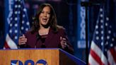 Kamala Harris getting the nomination is just the illusion of choice