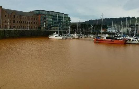 Hope and 'frustration' over harbour's brown water