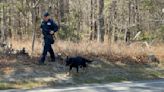 Search of Manorville Connection To Gilgo Beach Murders Continues