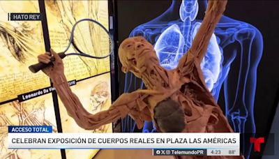 “Bodies”: regresa exposición de cuerpos reales en Plaza las Américas