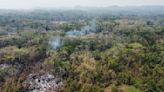 Suman en Veracruz nueve incendios forestales activos en medio de temperaturas sofocantes | El Universal